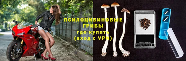 прущие крисы Абинск