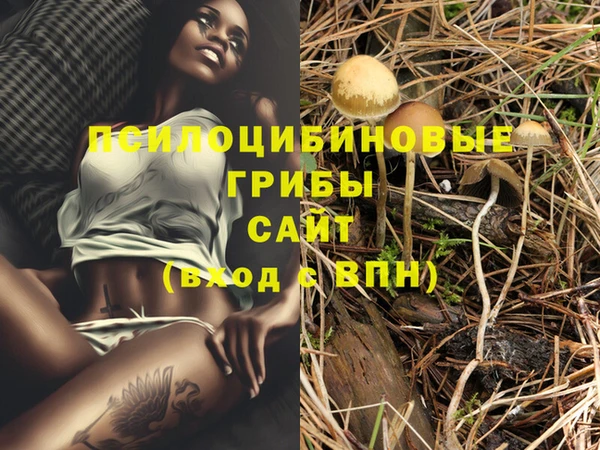 прущие крисы Абинск