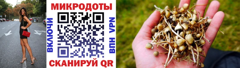 Псилоцибиновые грибы мухоморы  наркошоп  Кизляр 