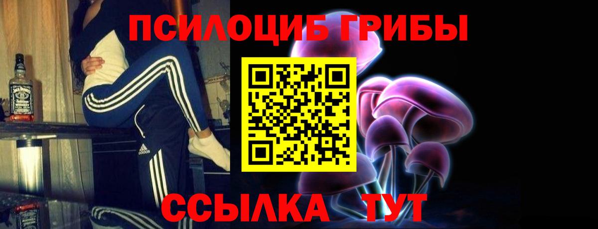 Псилоцибиновые грибы MAGIC MUSHROOMS Кизляр