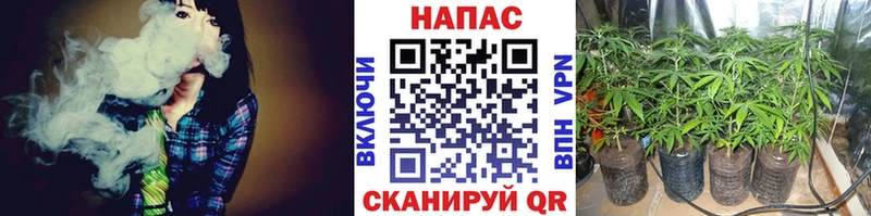 Марихуана конопля  omg зеркало  Кизляр  цена наркотик 