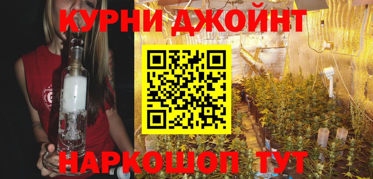 Конопля SATIVA & INDICA Кизляр